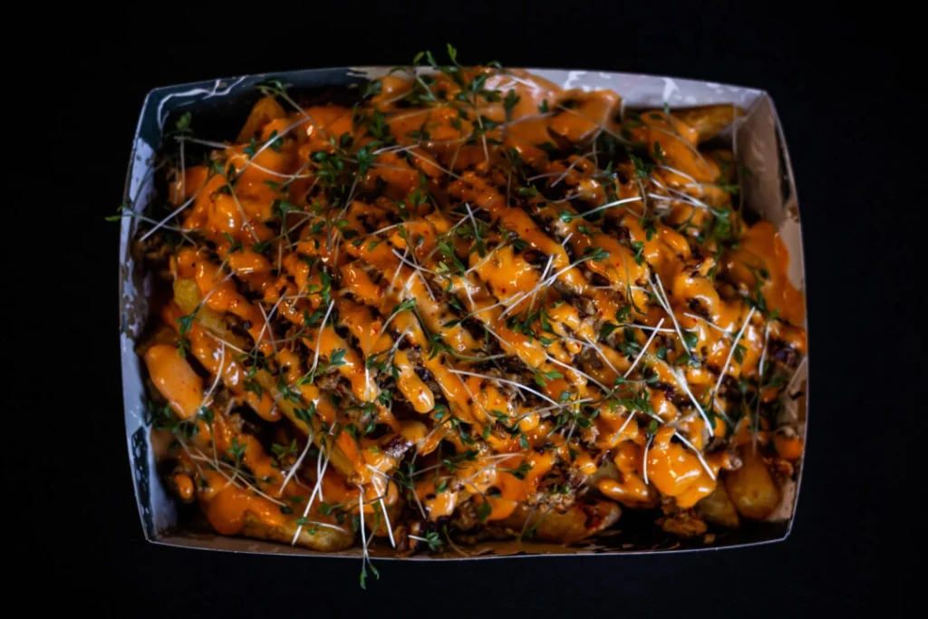 Loaded fries pulled chili chicken van Bollinos